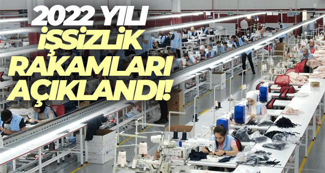 İşsiz sayısı 2022 yılında