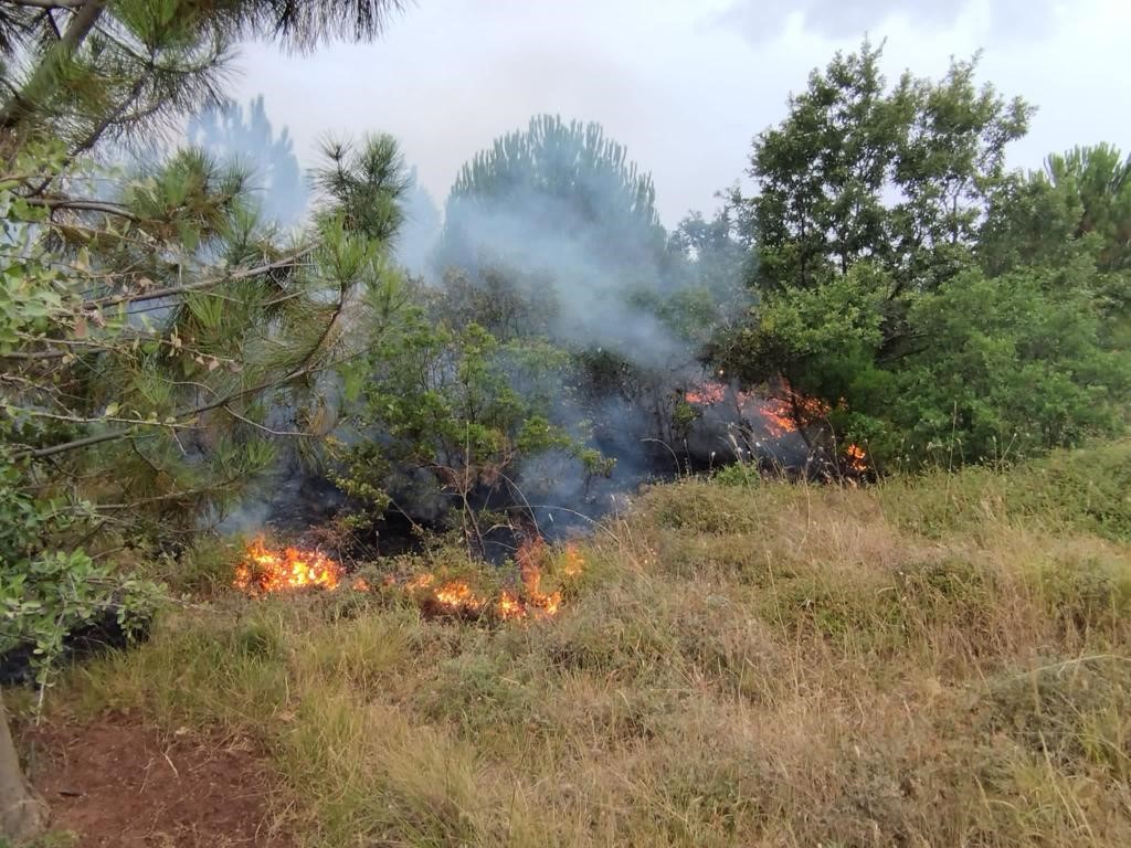 Balıkesir’in Bandırma ilçesine bağlı