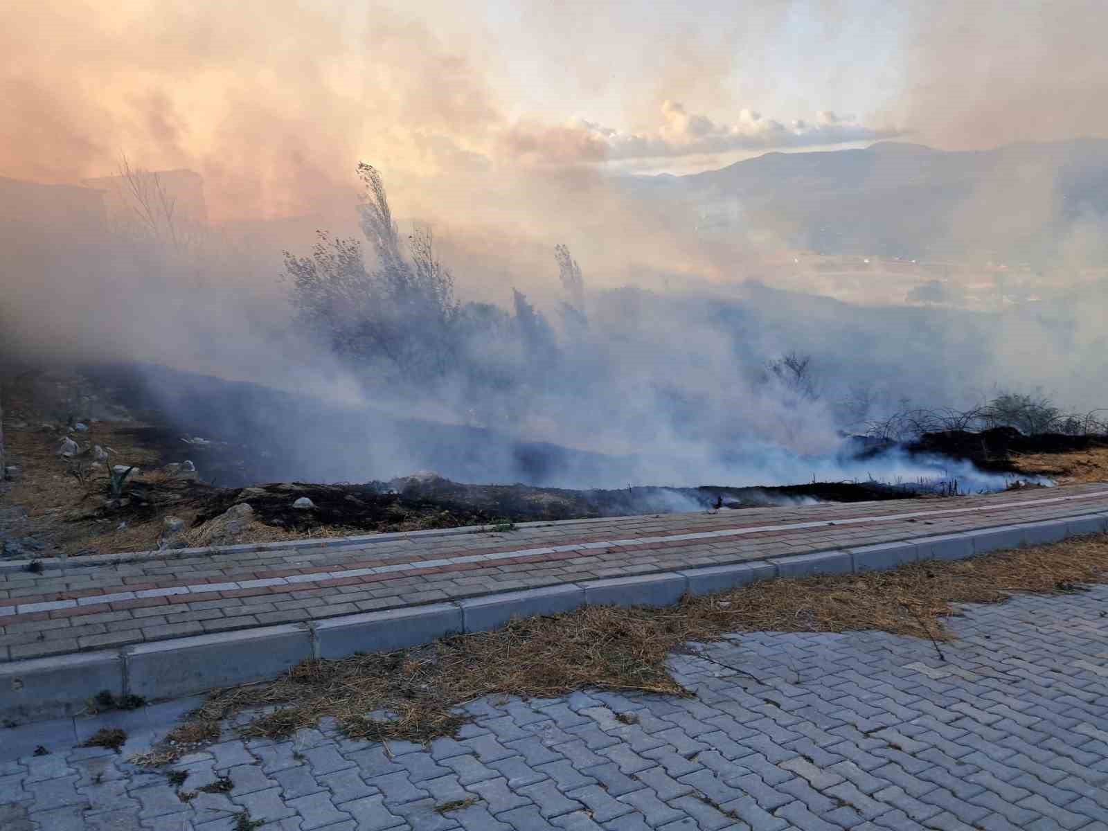 Balıkesir’in Bandırma ilçesinde otluk