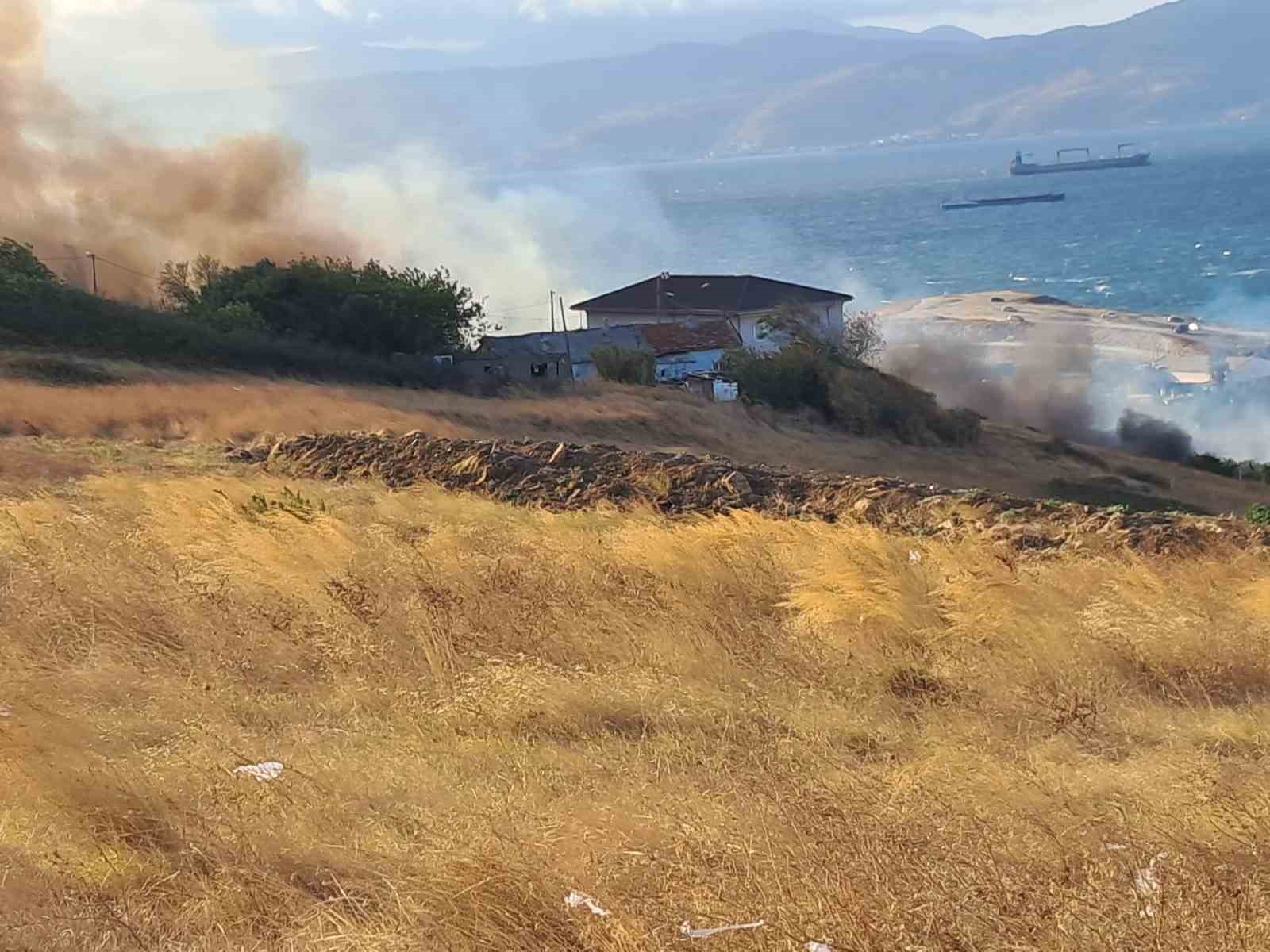 Balıkesir’in Bandırma ilçesinde otluk