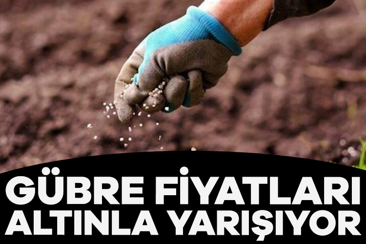 Gübre fiyatlarındaki artış, altın