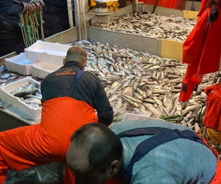 Balıkesir’in Erdek ilçesinde tekneyle