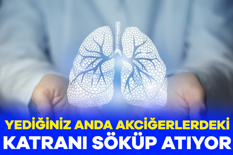 Akciğerlerinizi sağlıklı tutmak, sağlığınızı