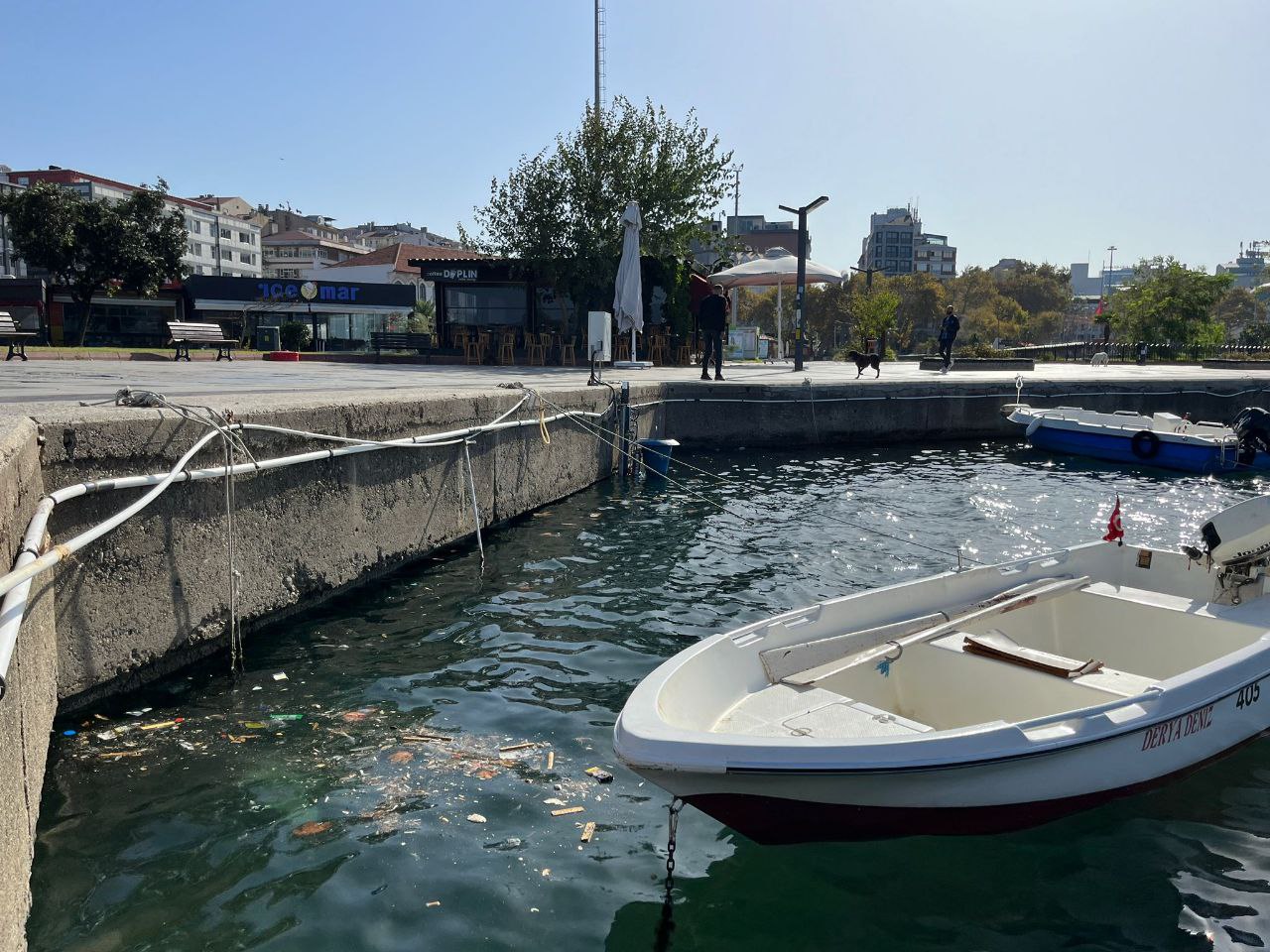 Bandırma’nın hakim rüzgarı poyraz