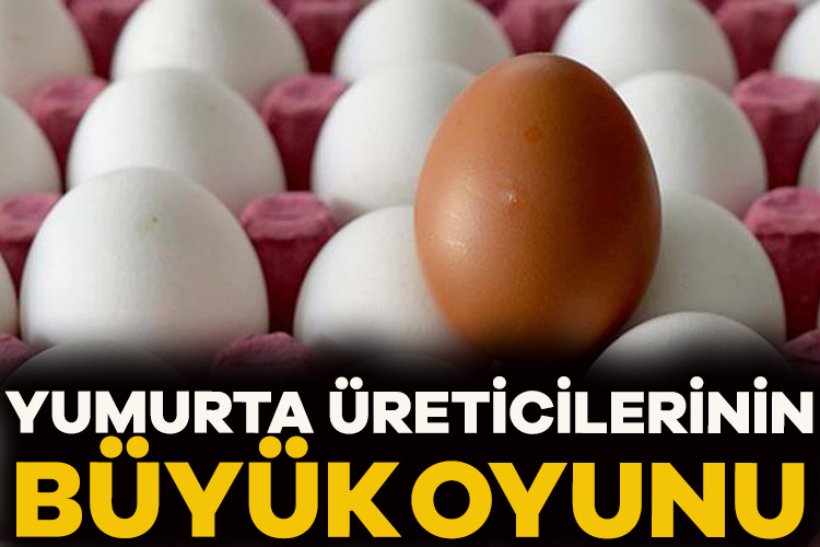 Yumurta üreticileri ve birlikleri