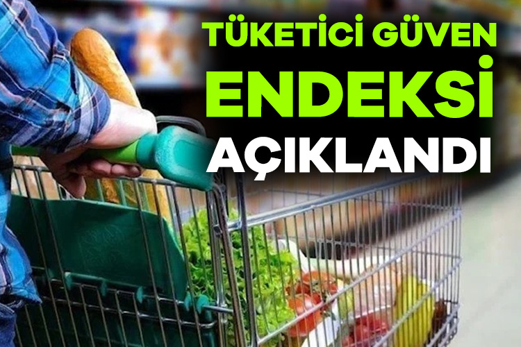 Tüketici güven endeksi Ocak ayında 80,4 oldu Türkiye İstatistik Kurumu ve Türkiye