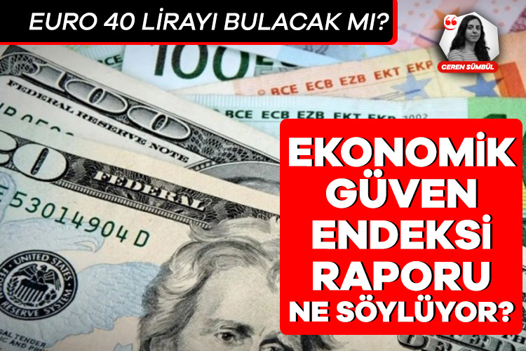 Türkiye İstatistik Kurumu (TUİK) 2024 Ocak Ekonomik Güven Endeksi raporuna