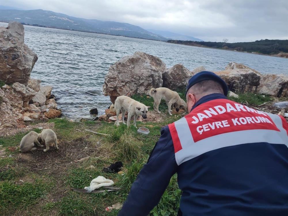 Balıkesir’de jandarma, zor kış şartlarında kırsalda besin ihtiyacını gidermekte zorluk