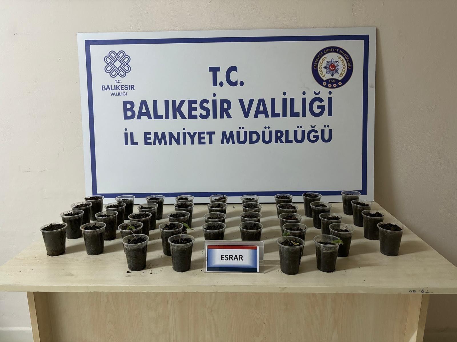 Balıkesir’in Erdek ilçesinde evinde esrar yetiştirdiği tespit edilen bir şahıs,