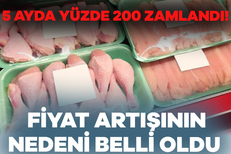 Ticaret Bakanlığı tavuk etindeki fahiş fiyat artışına karşı harekete geçti.