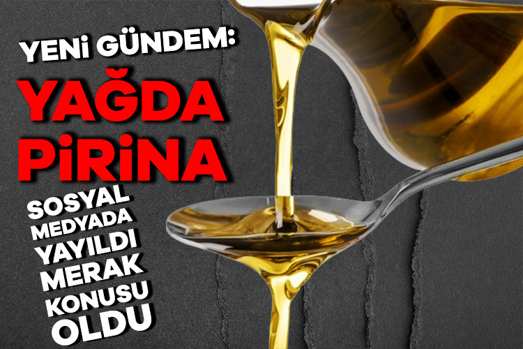 Zeytin çekirdeği ve posasından elde edilen pirina yağının raflarda yeni