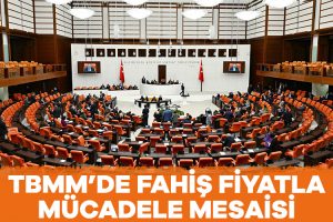 Fahiş fiyat ve stokçulukla mücadele teklifi TBMM’de