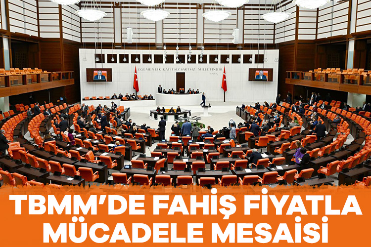 TBMM Genel Kurulunda, fahiş