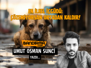 EN İLKEL İÇGÜDÜ: ÇÖZEMİYORSAN ORTADAN KALDIR!