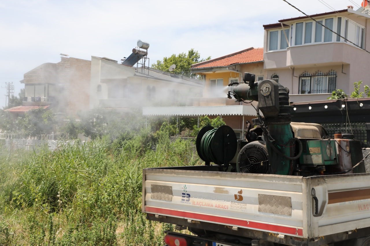 Balıkesir’in Edremit Belediyesi, sinek