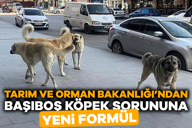 Tarım ve Orman Bakanlığı TBMM’ye