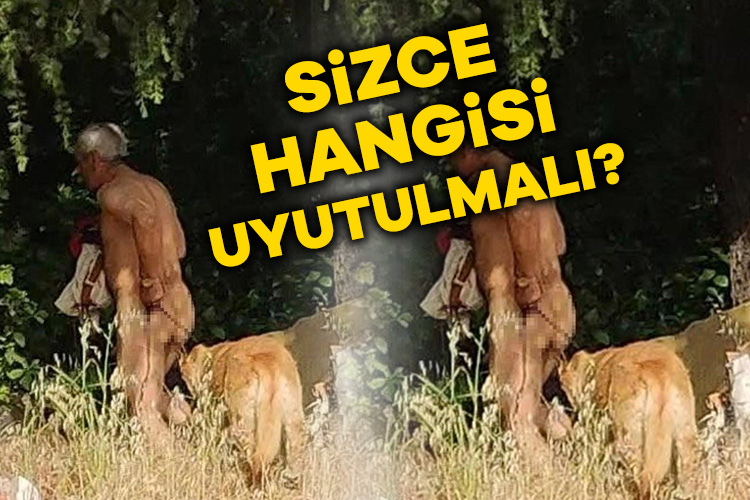 İstanbul Florya’da bir şahsın köpeği istismar ettiği iddia edildi. Sosyal