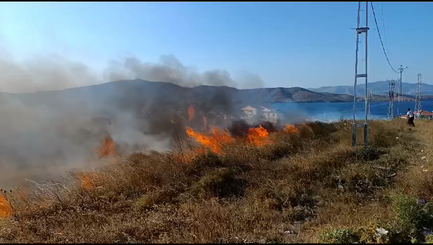 Balıkesir’in Marmara adalar ilçesine bağlı Avşa adasında iki farklı yerde