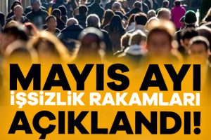 TÜİK açıkladı: Mayıs 2024 işsizlik oranı yüzde 8,4