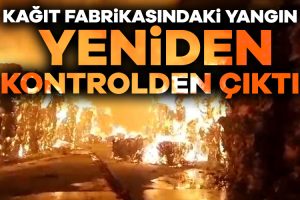 Aydın’da kağıt fabrikasında yangın