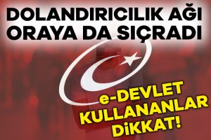 Dolandırıcılardan e-Devlet tuzağı: 26 kişi tutuklandı