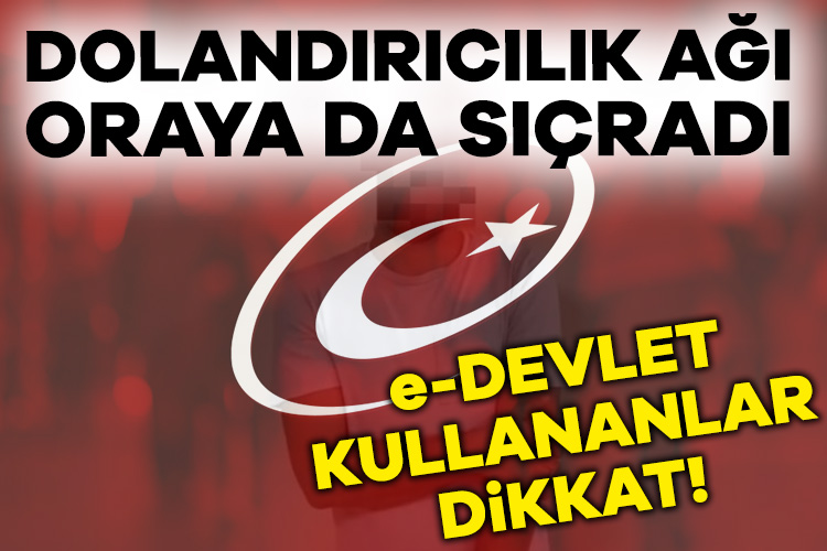 e-Devlet’i kopyalayıp dolandırıcılık yapan