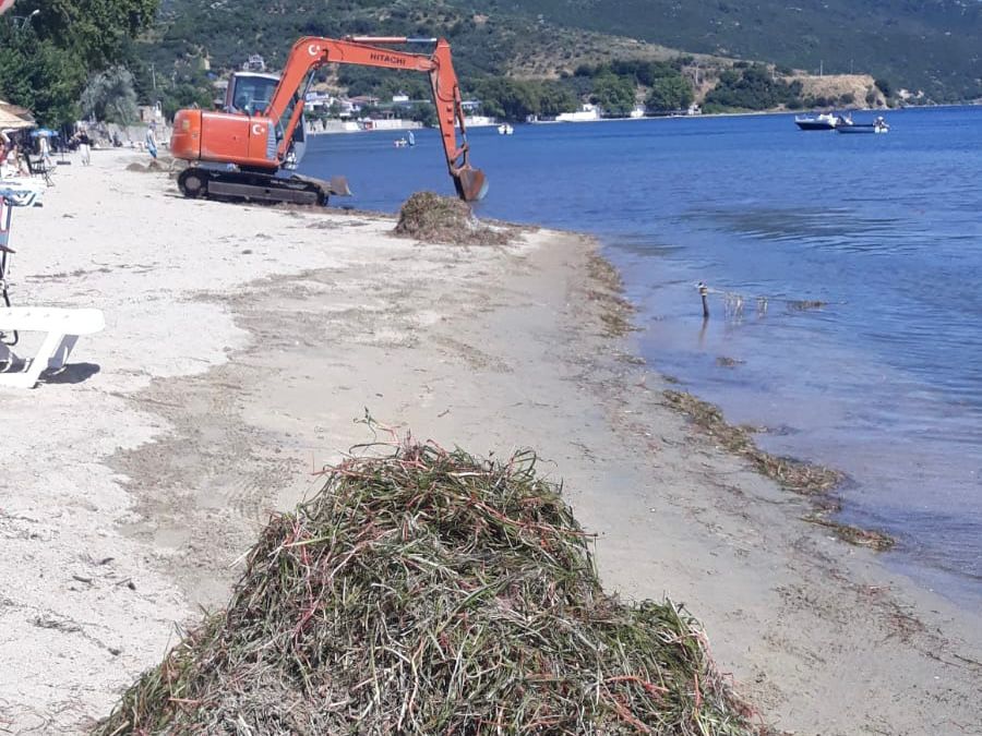 Balıkesir’in Erdek ilçesinde yapılan