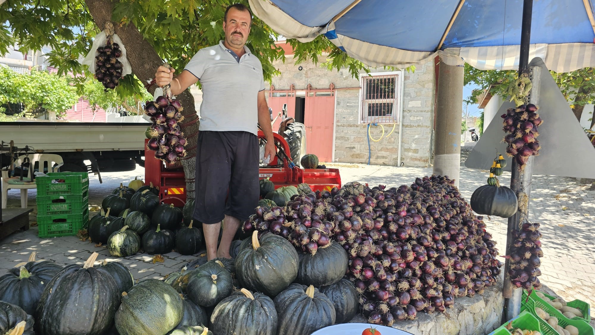 Balıkesir’in Erdek İlçesinde, Coğrafi İşareti bulunan ‘Kapıdağ Mor Soğanı’, temmuz