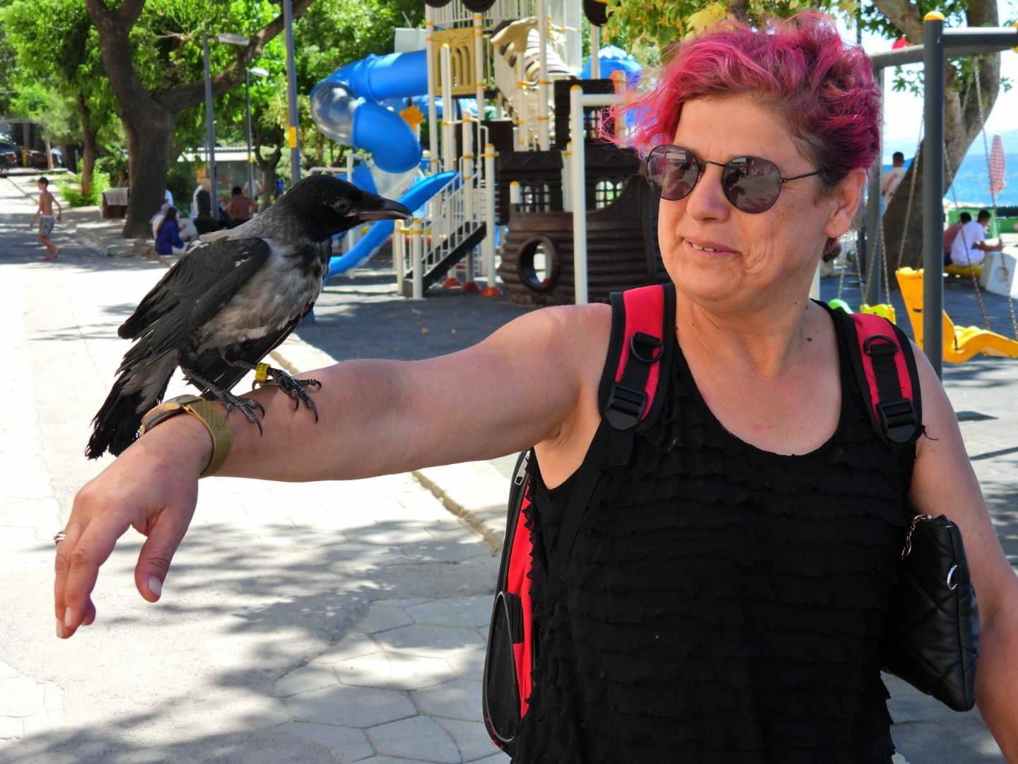 Balıkesir’in Erdek ilçesine tatil yapmak için Bursa’dan kargasıyla gelen bir