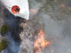 SUSURLUK’TA ARAÇ KAZASI ORMAN YANGININA DÖNÜŞTÜ