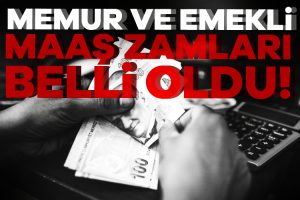 2024 Temmuz memur ve emekli maaş zamları belli oldu