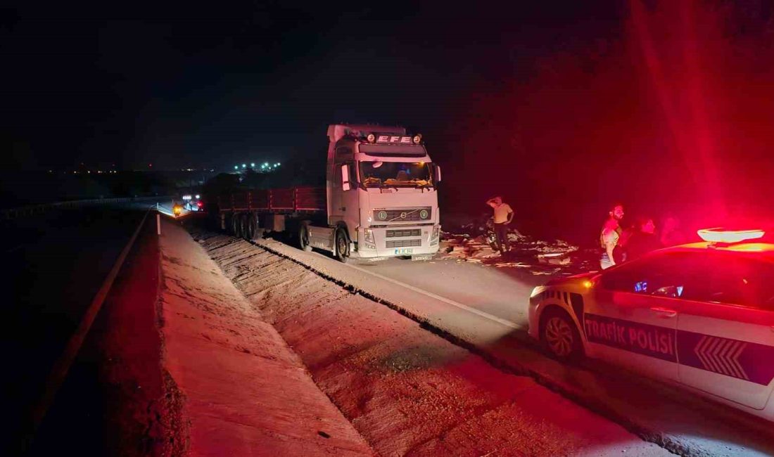 Balıkesir’in Bandırma ilçesinde, kontrolden