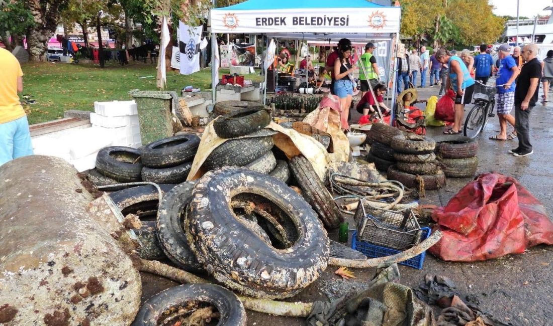 Balıkesir'in Erdek ilçesi Erdek Limanı'nda ODTÜ'lü dalgıçlar tarafından gerçekleştirilen dip