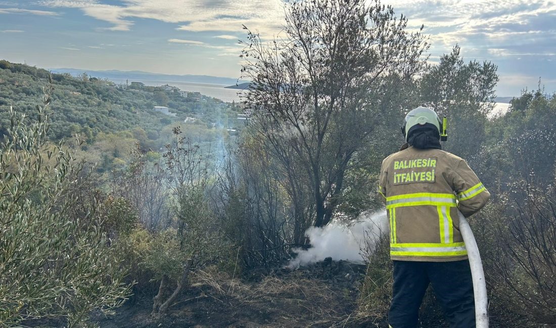 Balıkesir'in Erdek ilçesine çıkan