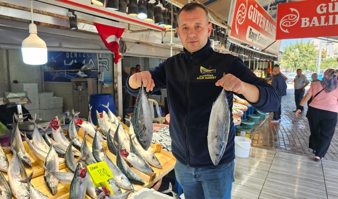 40 gün önce av yasağı kalkan denizlerde balık bolluğu yaşanmaya