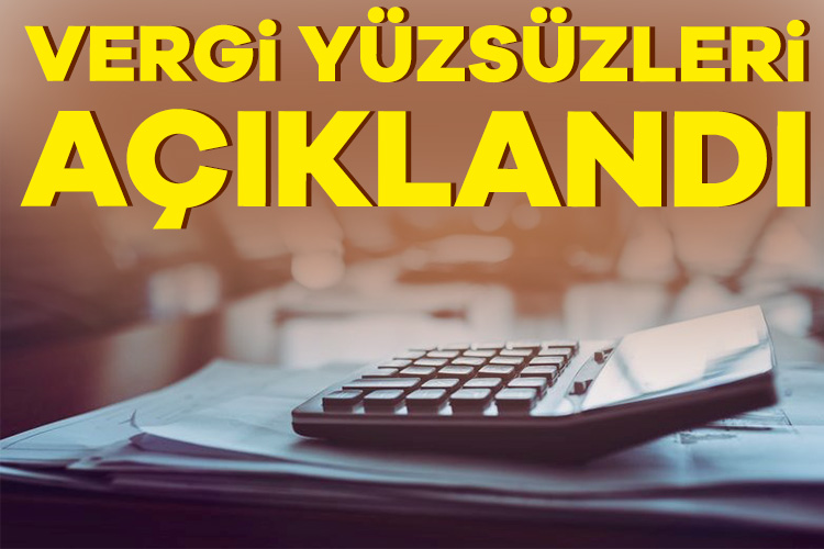 Vergi yüzsüzleri açıklandı: 36 bin 806 kişi, 915 milyar TL borç