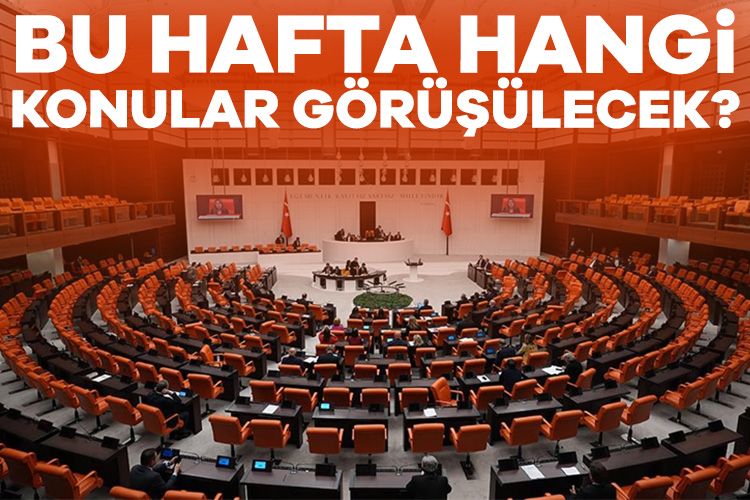 TBMM’de bu hafta hangi konular görüşülecek? İşte gündem başlıkları…