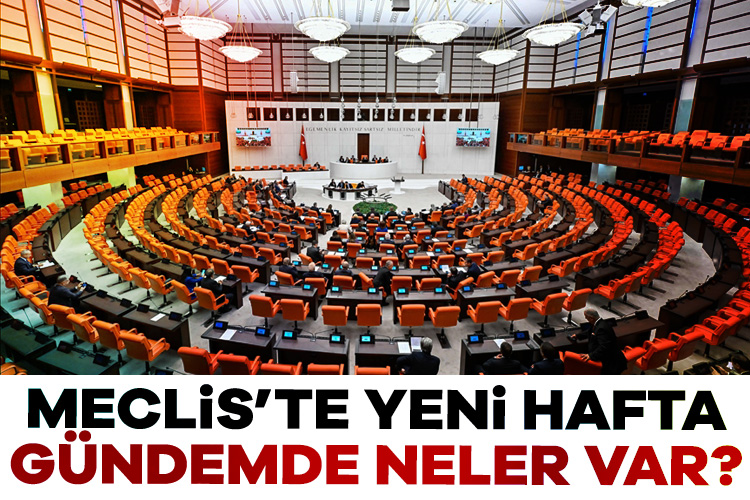 Türkiye Büyük Millet Meclisi'nde