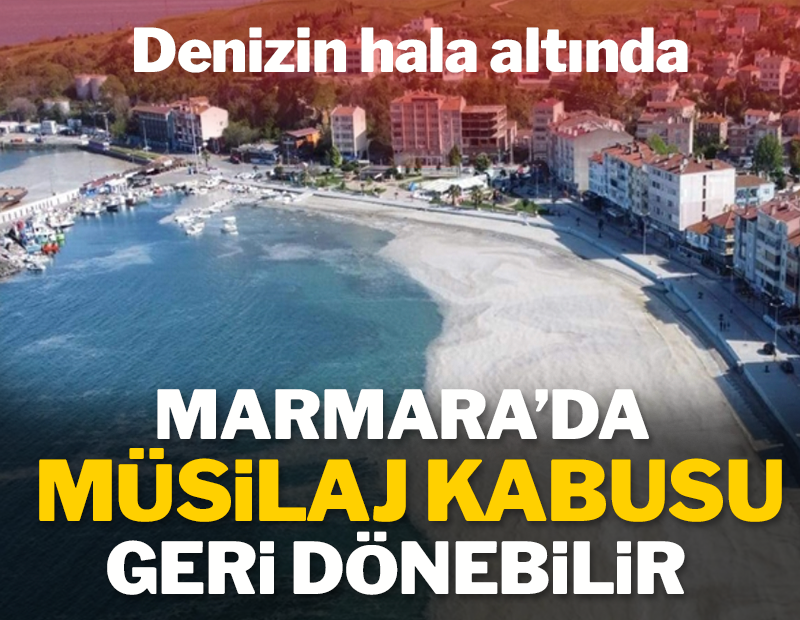 2021 yılında Marmara Denizi'nde