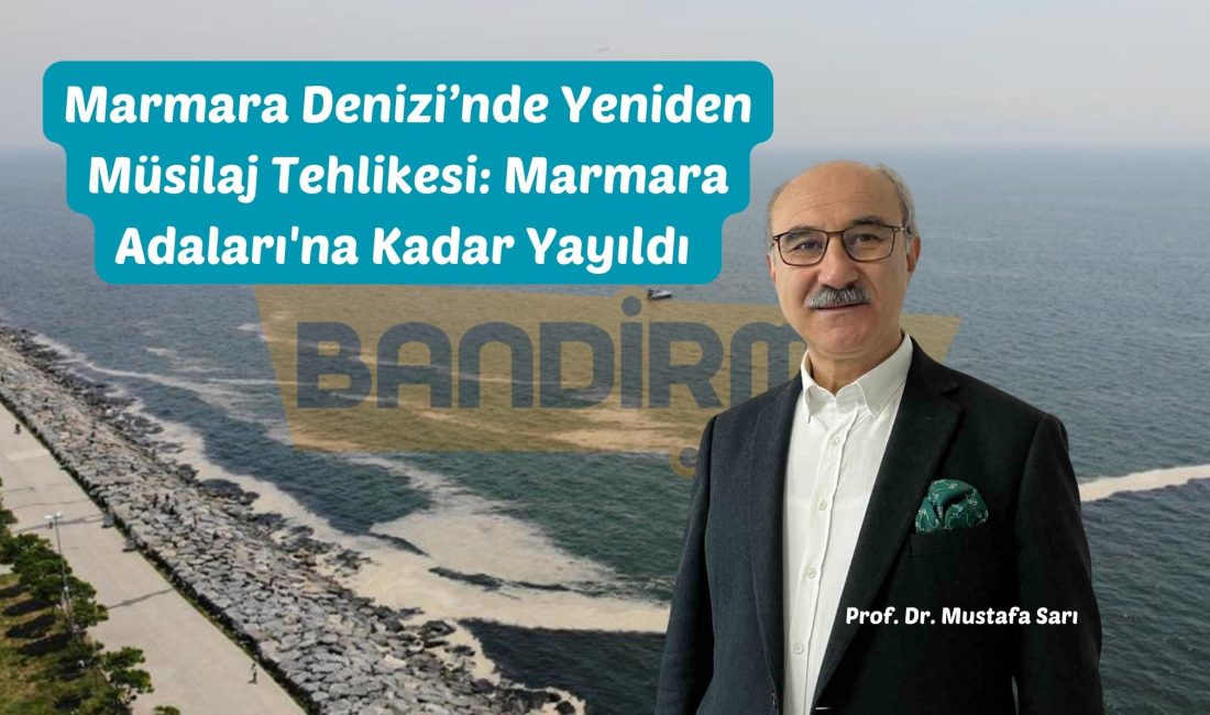 2021 yılında Marmara Denizi’ni