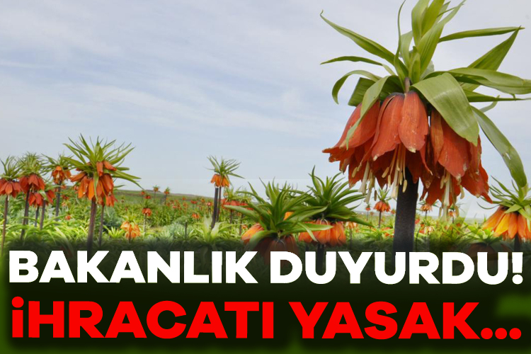 Tarım ve Orman Bakanlığı,