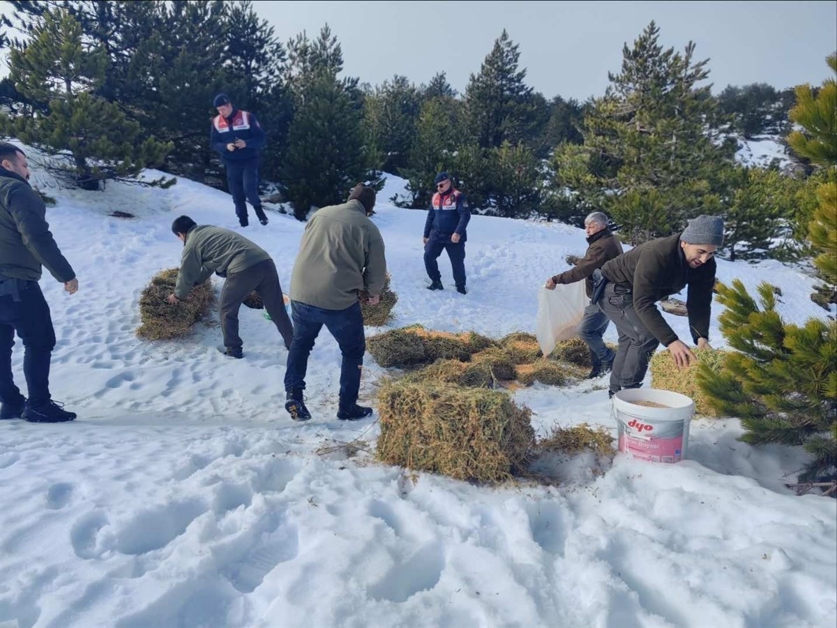 Balıkesir’in dağlarındaki yaban hayvanları için jandarma ekiplerince yemleme yapıldı.