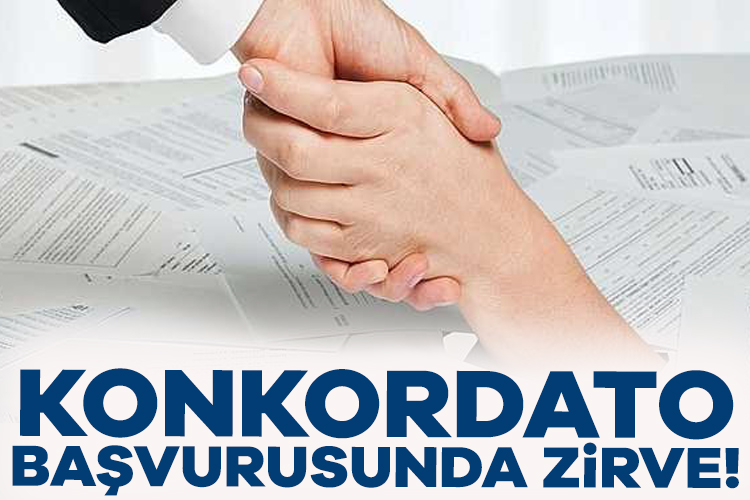 2018'de finansal açıdan zor duruma düşen şirketlerin kurtarılması için hayata