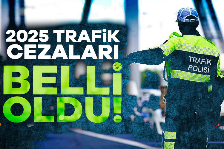 Trafik cezaları, Hazine ve Maliye Bakanlığı Gelir İdaresi Başkanlığınca belirlenen