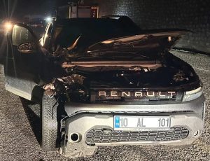 Balıkesir’in Sındırgı ilçesine bağlı Kertil Mahallesi yolunda akşam 21.15'de meydana