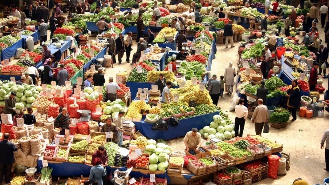 Türkiye Ziraat Odaları Birliği (TZOB) Başkanı Şemsi Bayraktar, aşırı soğuklarla