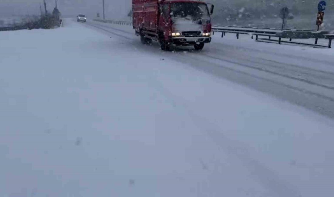 Balıkesir-Susurluk yolu Şamlı Mahallesi yakınlarında Bursa istikametine seyir halinde olan