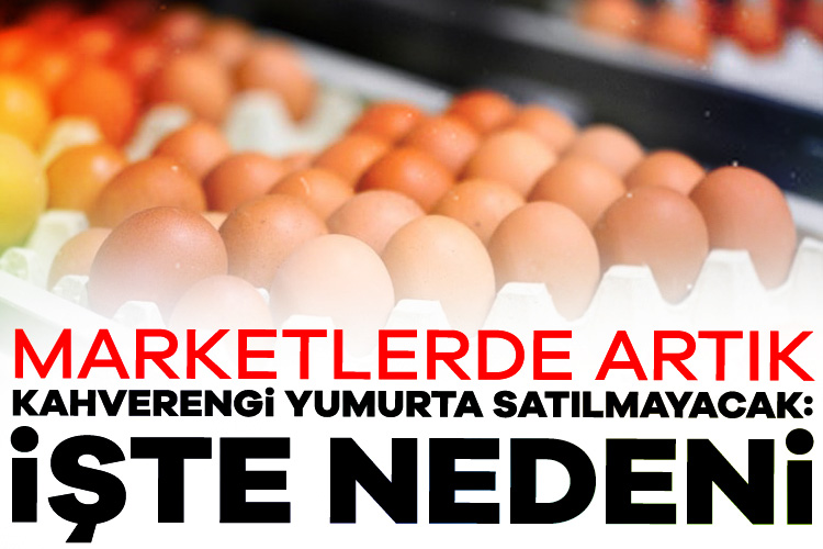 Alman süpermarketlerde satılan yumurtaların yaklaşık yüzde 30'u kahverengi ancak yapılan