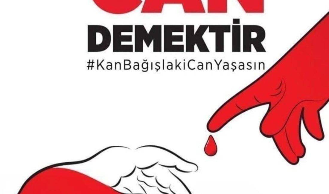 Bandırma’da kan ve kök hücre bağışının önemine dikkat çekmek amacıyla