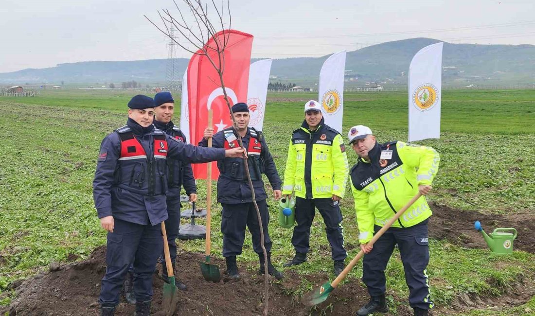 Balıkesir’de Orman Bölge Müdürlüğü, yol kenarı ağaçlandırma çalışmalarına devam ederken,